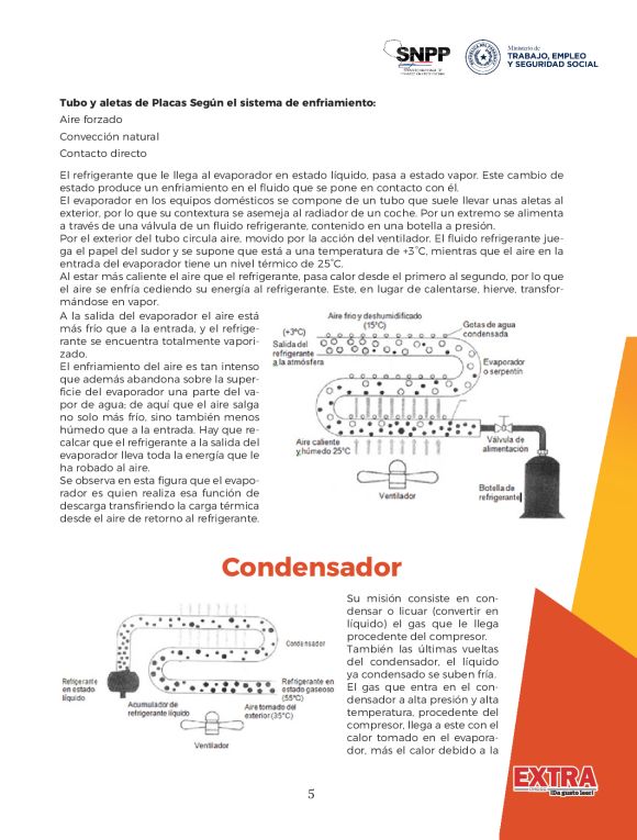 pag 29