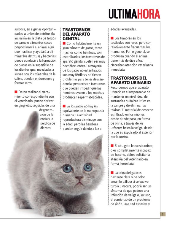 pag 21