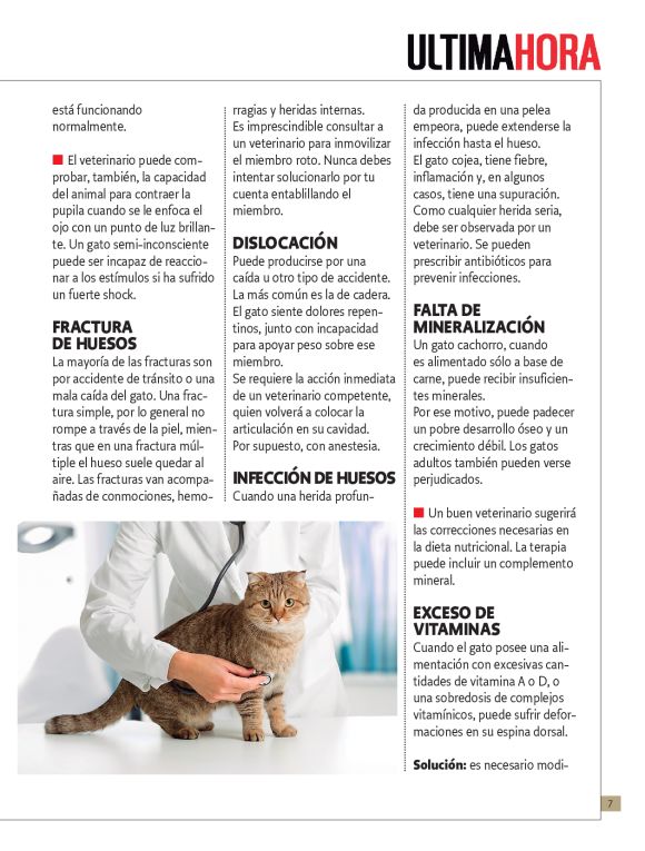 pag 23