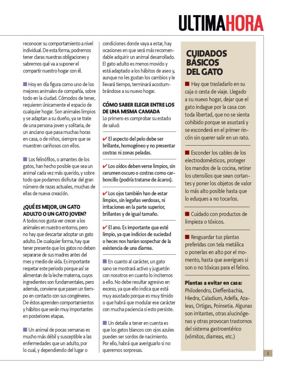pag 3